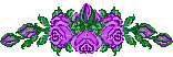 roses_purple.gif