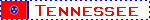 tennblinkie.gif